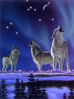 Where can i find animated wolf wallpapers? Animated gifs : Animated wallpapers for cellphones | Wolf ...