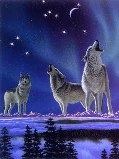 Tons of awesome wolf wallpapers to download for free. Animated gifs : Animated wallpapers for cellphones | Tierbilder, Tiere, Wolf bilder