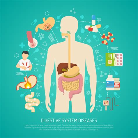 Digestive System Diseases Illustration 479522 Vector Art At Vecteezy