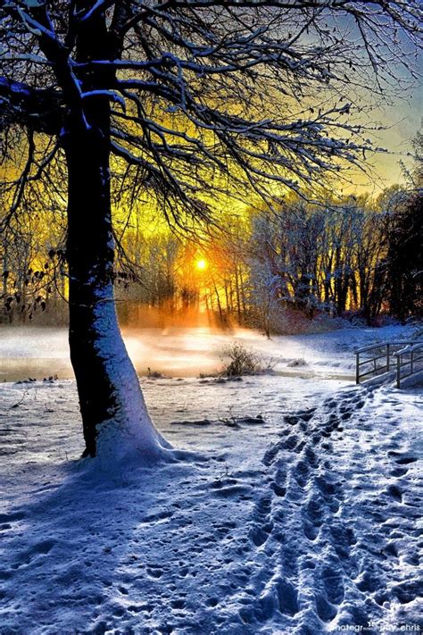 Winter By Chris Pellaers 500px Winter Scenery Winter Landscape
