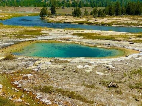 yellowstone wildlife and photo tours cody all you need to know