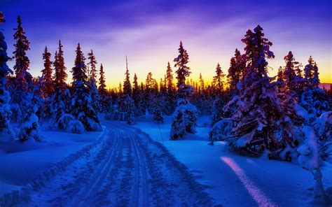 Winter Forest Snow Road Sunset Wallpapers Winter Forest