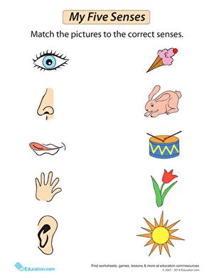 senses clipart grade   senses grade  transparent