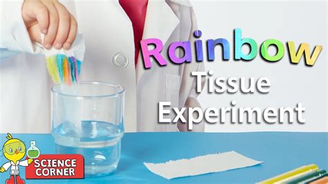 Chirp Science Corner 🌈 Rainbow Tissue Experiment Youtube