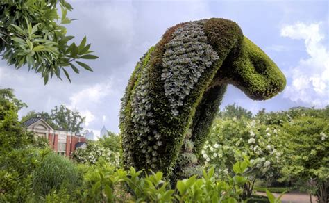 Fantastical Living Plant Sculptures Spring To Life At The Atlanta Botanical Gardens