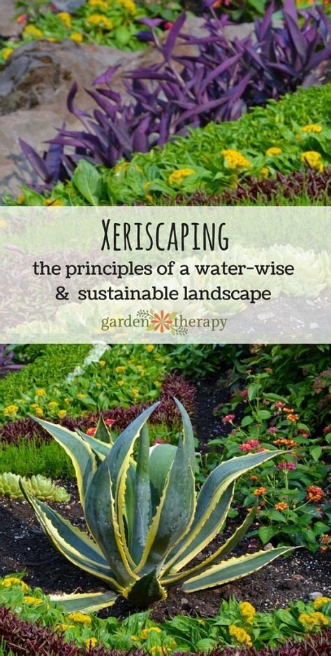Xeriscape Principles Gardening For Water Conservation Sustainable