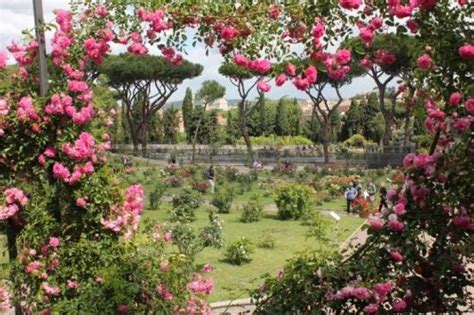 Natale Di Roma 2017 Oggi Riapre Il Roseto Comunale