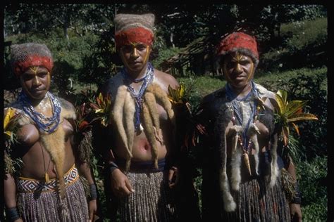 Calphotos Indigenous People Papua New Guinea Indonesia