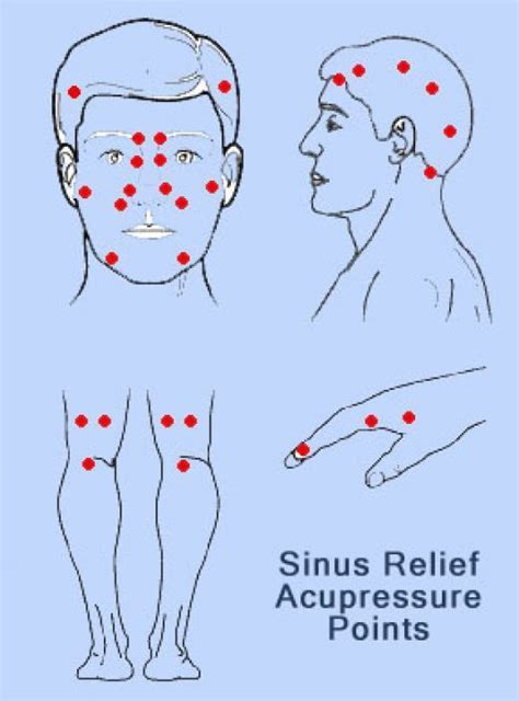 Acupressure Points For Sinus Relief Reflexology Points Reflexology