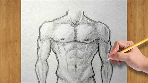 How To Draw Male Body Torso Easy Drawing For Beginners Youtube