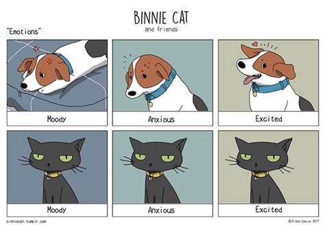 10 Hilarious Comics That Perfectly Illustrate The Differences Between
