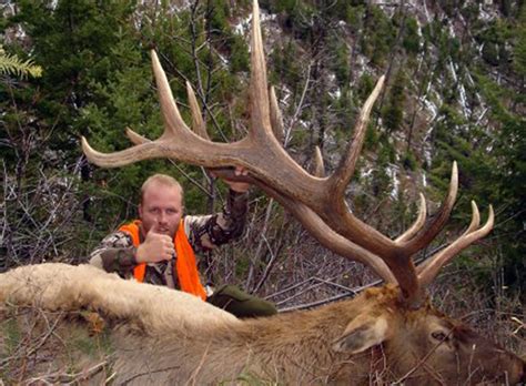 Montana Hunting Outfitter Elk Hunting Trips Rifle Archery Big Bull