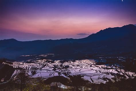 Duoyishu Rice Terraces In The Mist Yunyang Duoyishu Rice Terraces Photos My Xxx Hot Girl