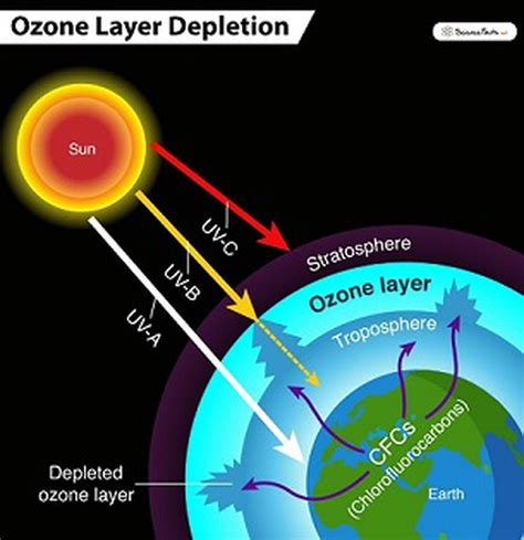 world ozone day also known as the international day for the preservation of the ozone layer is