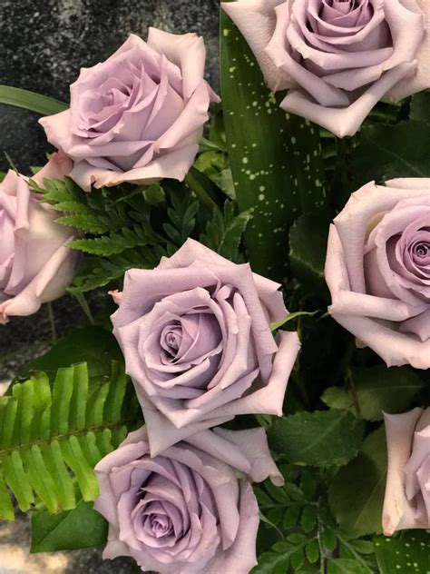 Dozen Lavender Roses Medium Stemmed In Fort Lauderdale Fl Victoria