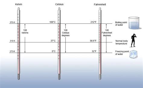 Different Types Of Temperature Measuring Devices Mech4study