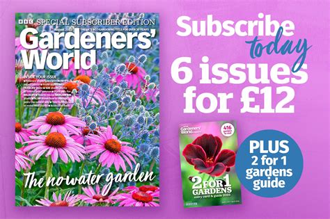 Nick Bailey On Making A New Garden Bbc Gardeners World Magazine