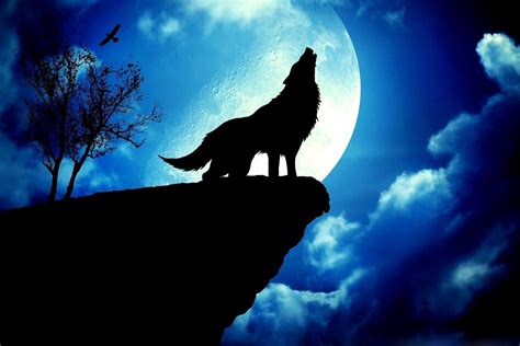 10 New Wolf Howling At The Moon Wallpaper Hd Full Hd 1080p For Pc