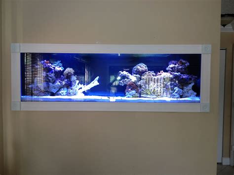 Fish Tank In The Wall Wall Aquarium Fish Aquarium Decorations Home