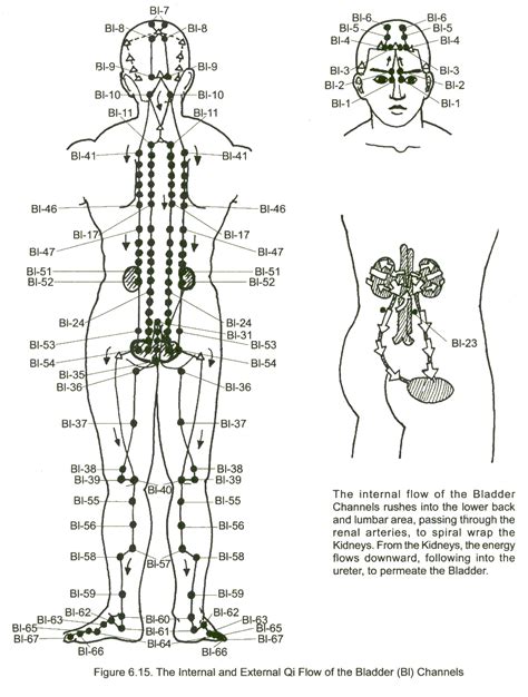 Meridian Acupuncture Acupuncture Points Chart Acupuncture Clinic