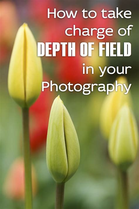 How To Take Charge Of Depth Of Field In Your Photography Depth Of
