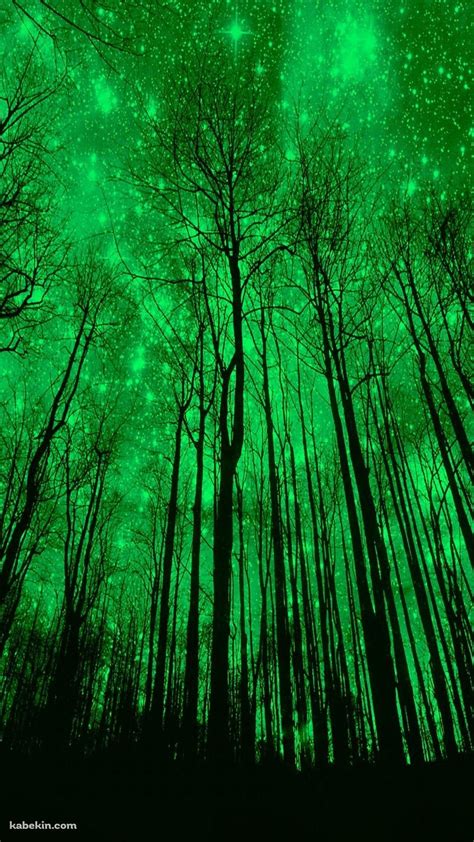 緑に輝くの森のiphone壁紙 Iphonexスマホ壁紙待受画像ギャラリー 森の壁紙 緑 壁紙 エステティックグリーン