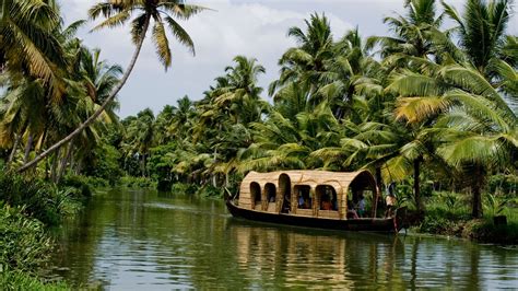 Top 8 Things To Do In Kerala