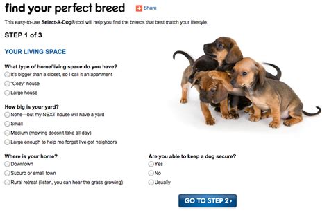 8 Dog Breed Selector Tools For Find Your Perfect Dog