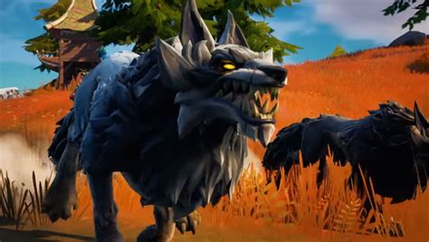 Fortnite Wildlife Locations Chickens Frogs And How To Tame Wolves And Boars Explained