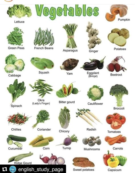 Jardinería Name Of Vegetables Vegetables Vegetables Chart