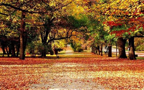 Free Download Autumn Landscape Hd Background Desktop