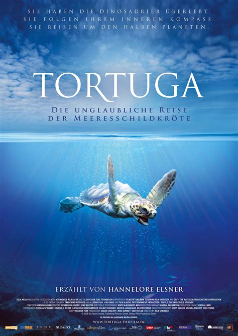 El Viaje De La Tortuga Turtle The Incredible Journey 2009 C