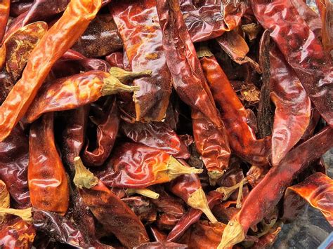 Dried Red Chili Peppers Troyer S Spices