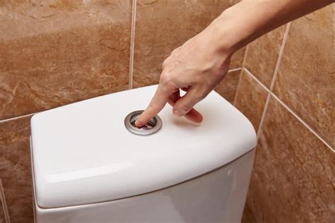 9 Types Of Toilet Flush Systems Pros And Cons Sensible Digs