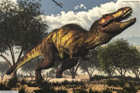 The Cretaceous Period Facts And Info For Kids And Adults The Ultimate Guide