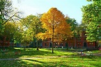 Harvard ist weiter beste Universität der Welt - Expat News