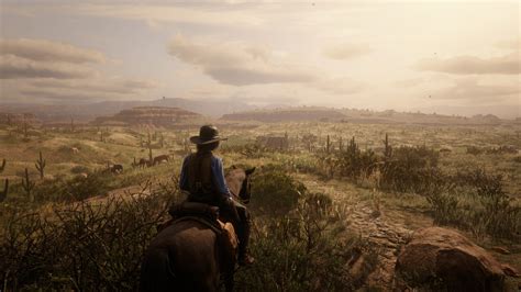 20 Red Dead Redemption 2 Hd Wallpapers And Backgrounds