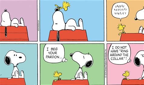 Peanuts Snoopy And Woodstock Read Comic Strips At Gocomics