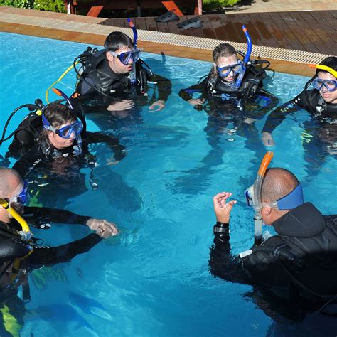 Padi Discover Scuba Diving Dream Divers