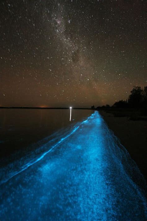 Bioluminescence Tour On Vancouver Island Beautiful Places Places To