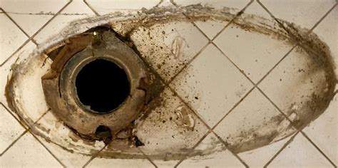 Toilet Leaking Guide Fix It Guide Fully Explained Toiletable
