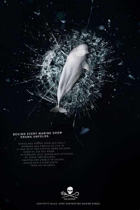 Sea Shepherd Conservation Society Print Advert By Nanuq Ads Of The