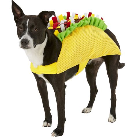 Hilarious Dog Costumes