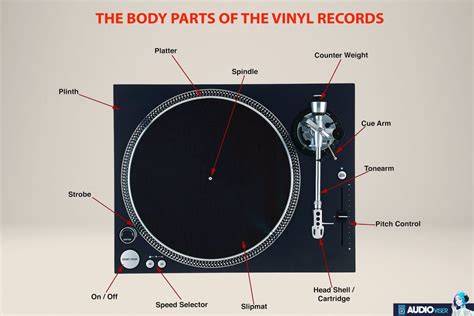How Do Vinyl Records Work Explained Audioviser