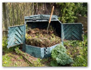 Use compost to satisfy heavy feeders like tomatoes. How to Make Compost Tea for Your Vegetable Garden