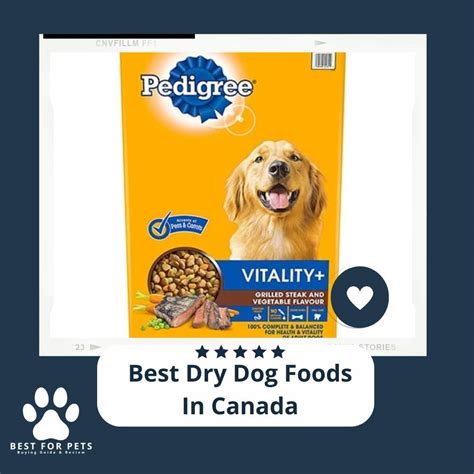 The 11 Best Dry Dog Foods In Canada Of 2022