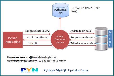 Python Mysql Update Table Guide