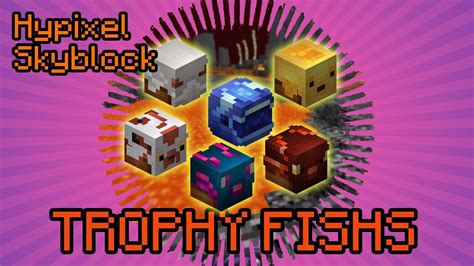 Trophy Fishing Guide Hypixel Skyblock Deutsch Multidissimo Youtube