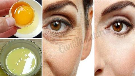 Yuk simak penjelasan tentang cara menetaskan telur ayam petelur berikut ini apakah anda ingin tahu cara menetaskan telur ayam , tapi sering mengalami kegagalan? CARA MENGHILANGKAN KERUTAN DI WAJAH CUKUP SEBUTIR TELUR ...