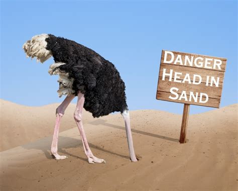 Are You An Ostrich With Your Head In The Sand
